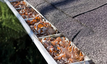 gutter cleaning Minneapolis